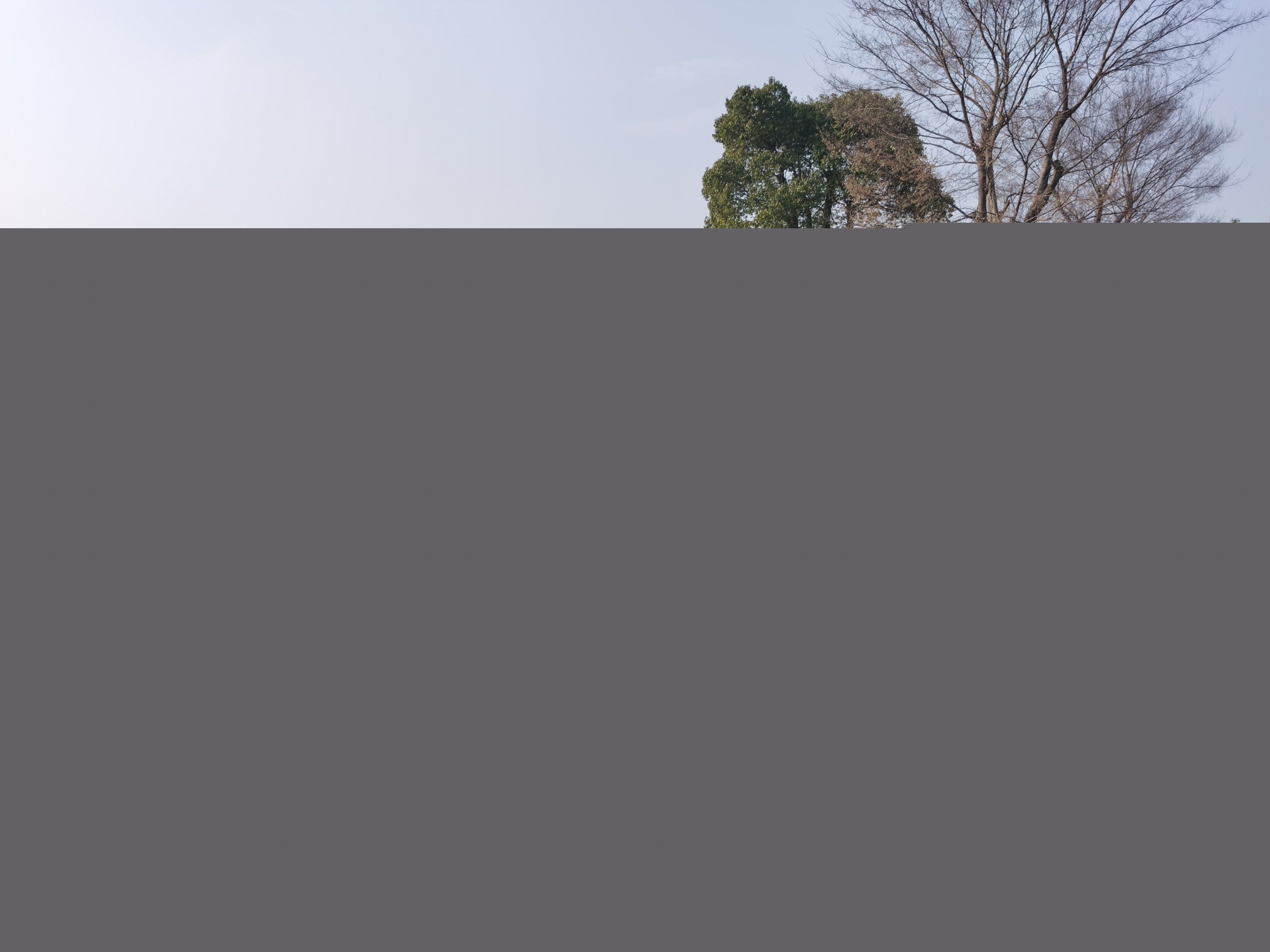 圖片關(guān)鍵詞